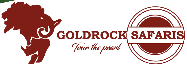 Goldrock Safaris